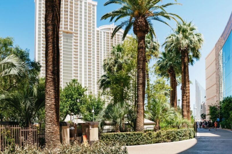 Las Vegas Strip: 3-Stop Pool Party Crawl with Party Bus - The Vibe on the Bus and at the Venues