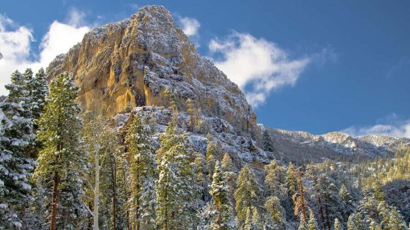 Las Vegas: Ultimate Snowplay Adventure at Mount Charleston - Why Choose This Mount Charleston Snow Adventure