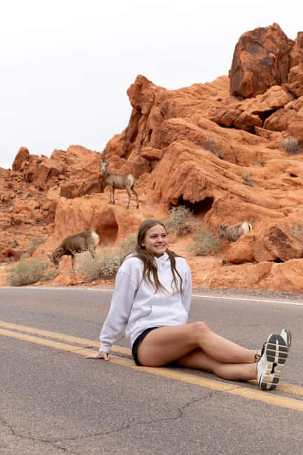 Las Vegas: Valley of Fire and Red Rock Canyon Day Trip - Guided Tour with a Knowledgeable Expert