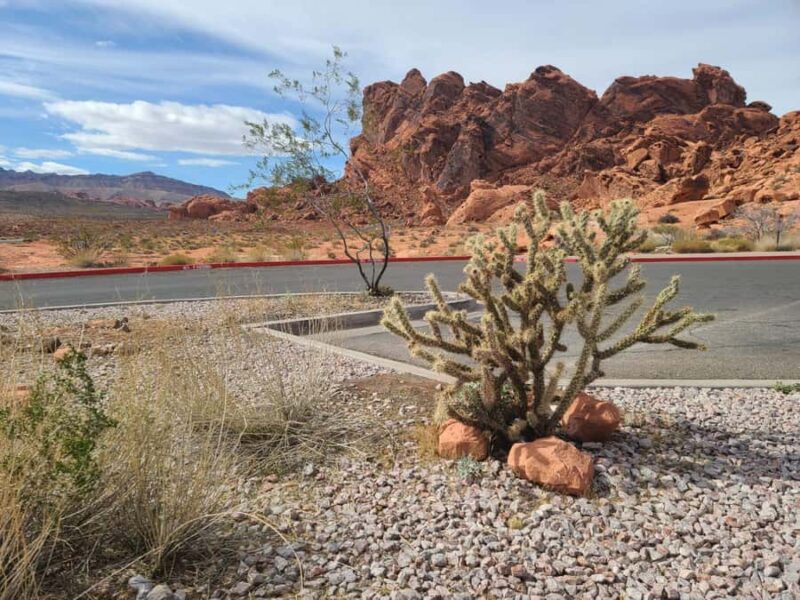 Las Vegas: Valley of Fire and Red Rock Canyon Tour - Marvel at the Vibrant Aztec Sandstone Formations of Valley of Fire