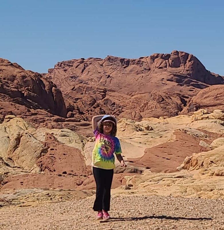 Las Vegas: Valley of Fire and Red Rock Canyon Tour - Scenic Drive Through the Mojave Desert
