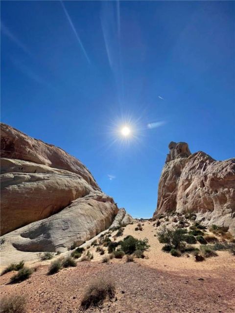 Las Vegas: Valley of Fire Guided Tour in Spanish - Key Points