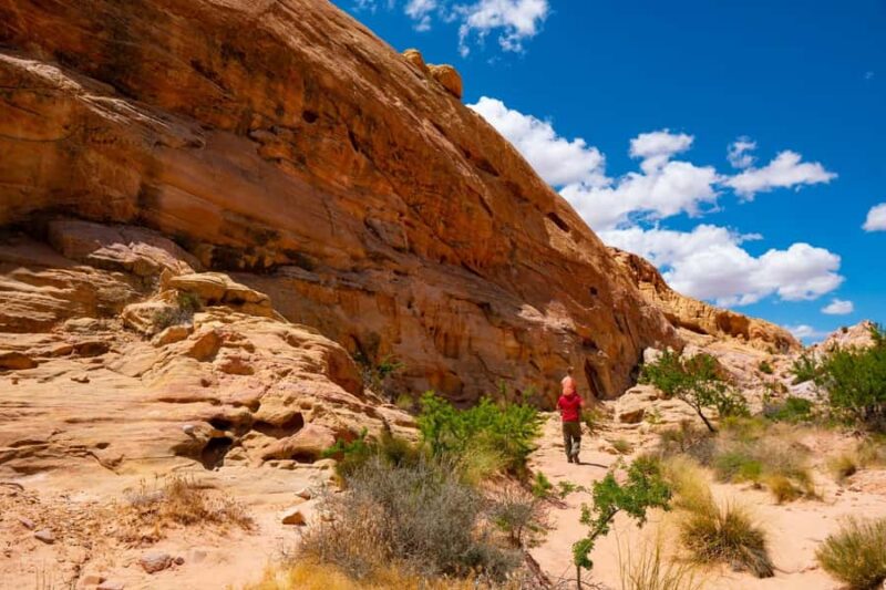 Las Vegas: Valley of Fire Half-Day Guided Hike with Pickup - Key Points