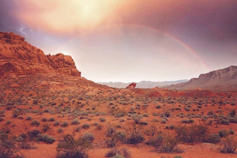 Las Vegas: Valley of Fire State Park Guided Tour - How the Tour Compares