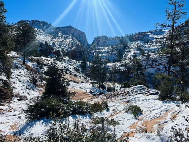 Las Vegas: Zion National Park Group Tour with Lunch - Booking Flexibility and Cancellation Policy