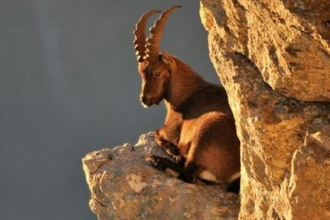 Lasithi Plateau Traditional Vilages - The Iconic Windmills of Lasithi and the Zeus Cave