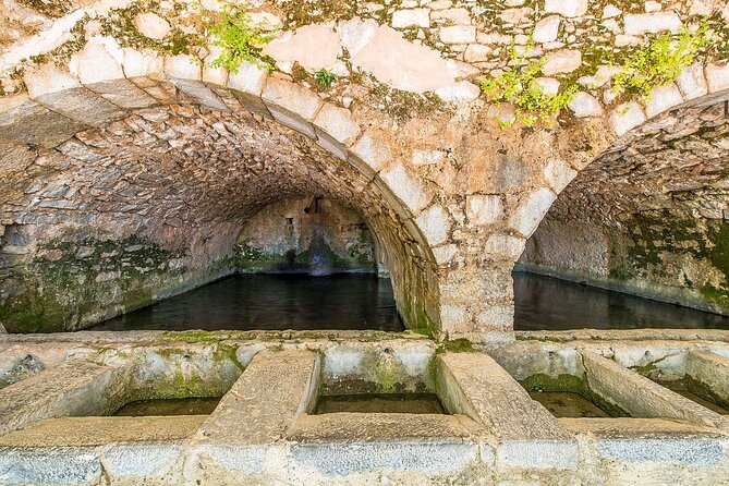 Lasithi - Zeus Cave -Olive Oil Factory - Traditional Villages - Discovering the Olive Oil Heritage at Vassilakis Estate