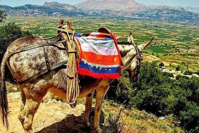 LASSITHI & KNOSSOS CRETE, full day professional guided coach tour - Visiting the Greek Mythology Park for 1.5 Hours