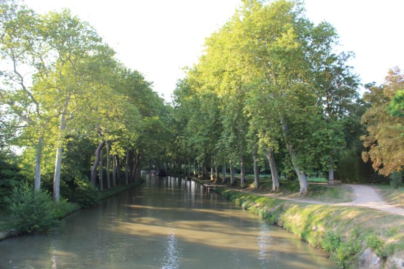 Lastours, Vinyard, Minerve, Canal du Midi from Carcassonne - Explore the South of France with a Private Day Trip