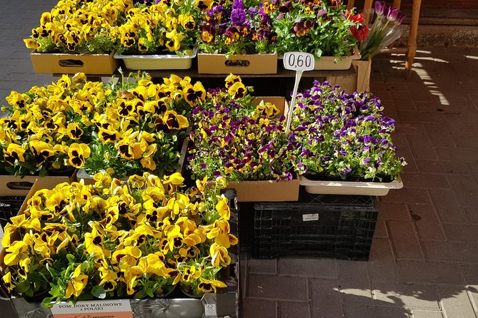 Latvian food tasting tour at Riga Central market - Final Thoughts on the Latvian Food Tasting Tour