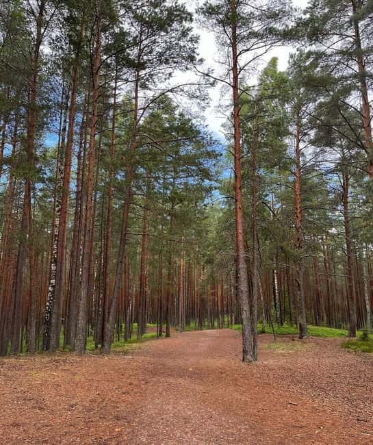 Latvian Landscapes: Kemeri & Jurmala Guided Tour - Transparent Pricing and Booking Flexibility