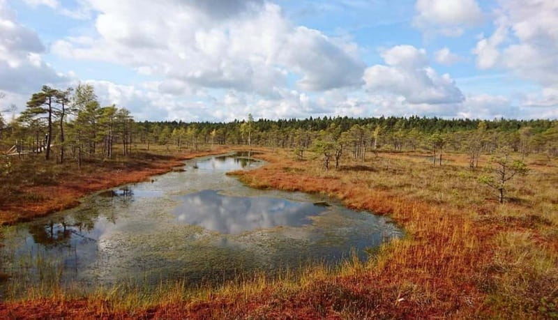 Latvian Landscapes: Kemeri & Jurmala Guided Tour - Who Will Appreciate This Latvia Day Trip?