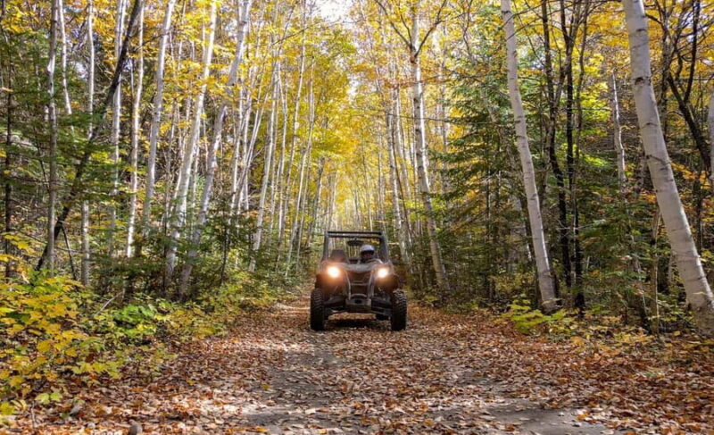 Laurentians: guided buggy tour - Explore the Laurentian Forest with a Guided Buggy Tour in Quebec