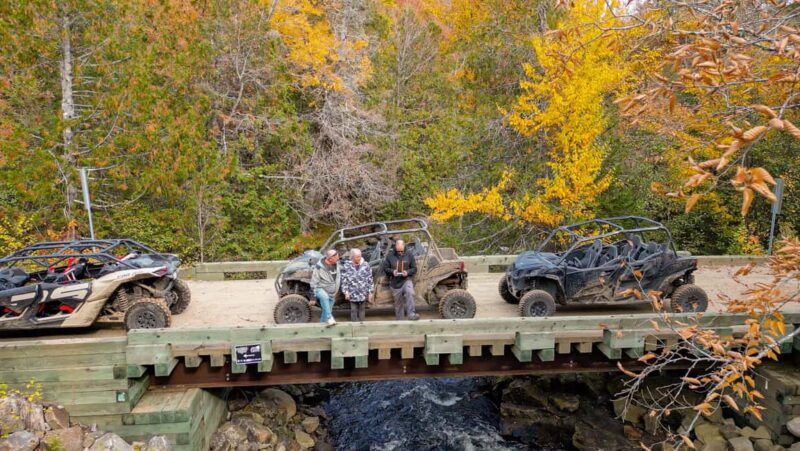 Laurentians: guided buggy tour - Physical Requirements and Accessibility