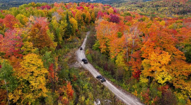 Laurentians: guided buggy tour - Duration and Pacing of the Forest Adventure