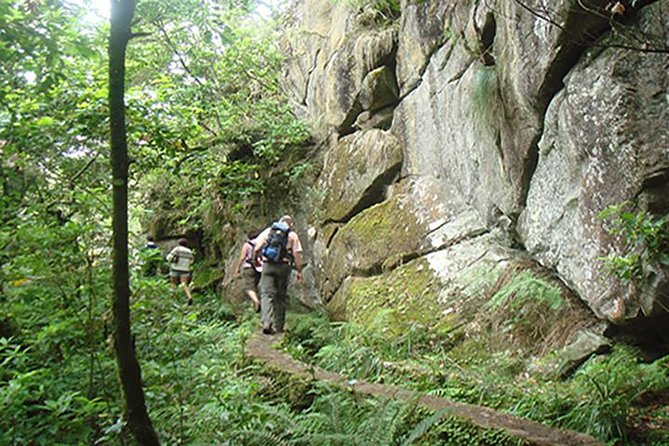 Laurissilva Forest Walk - From Funchal to Ribeiro Frio: Starting the Forest Adventure