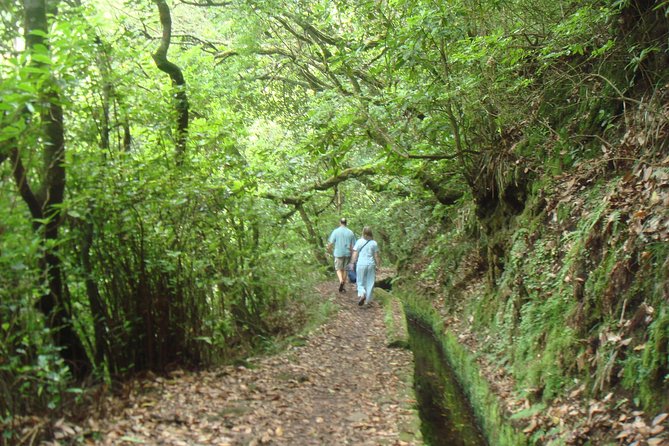 Laurissilva Forest Walk - Why This Tour Stands Out in Madeira