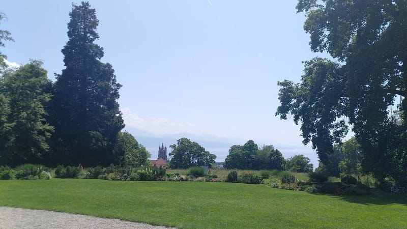 Lausanne: Cultural and Historical Guided Walking Tour - Meet at the Lausanne History Museum for a City Introduction