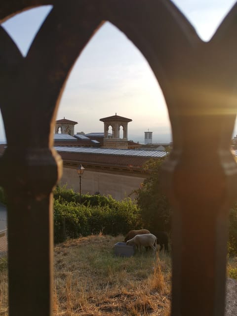 Lausanne: Old Town Guided Walking Tour - Logistics and Accessibility