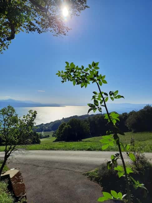 Lausanne: Walking Tour with Chocolate Tastings & Metro - Scenic Views from the Esplanade de Montbenon