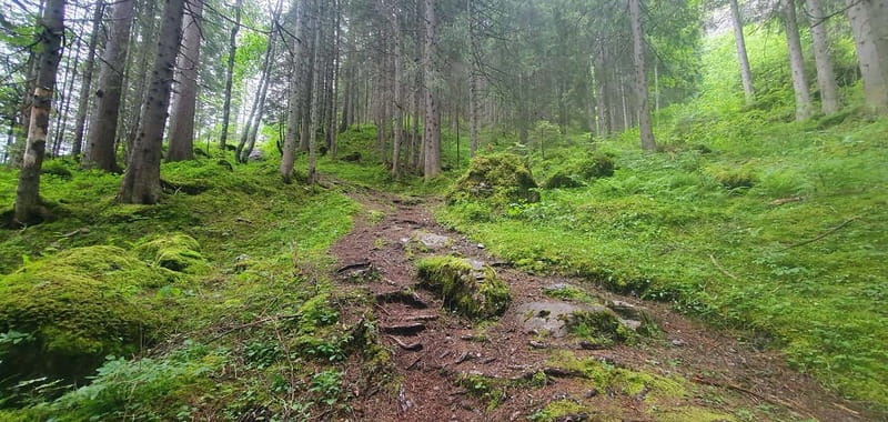 Lauterbrunnen: Private Walking Tour with an Irish Guide - Discover Lauterbrunnen with a Private Irish-Guided Walking Tour
