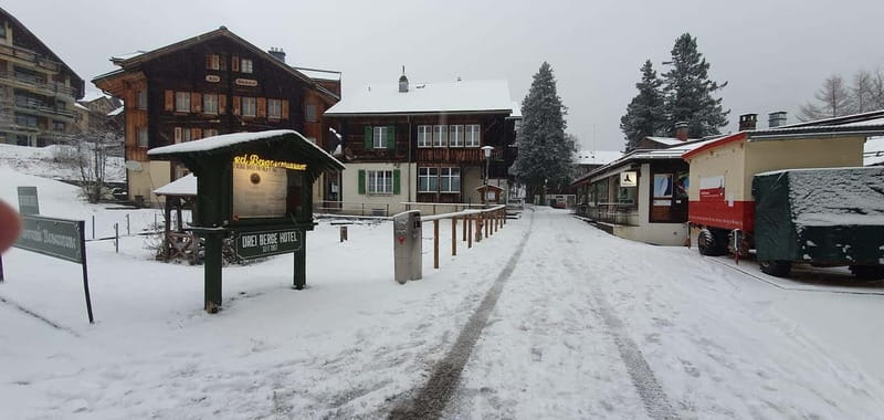 Lauterbrunnen: Private Walking Tour with an Irish Guide - Key Points