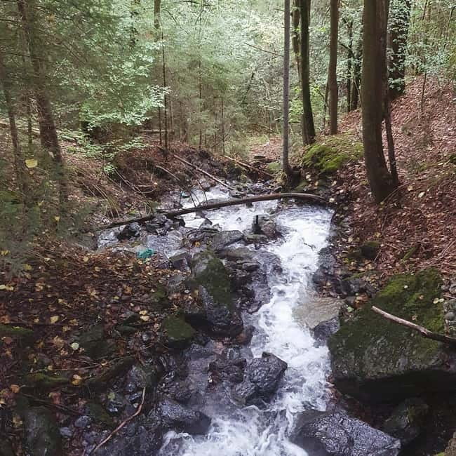 Lauterbrunnen: Private Walking Tour with an Irish Guide - The Experience of a Knowledgeable Irish Guide