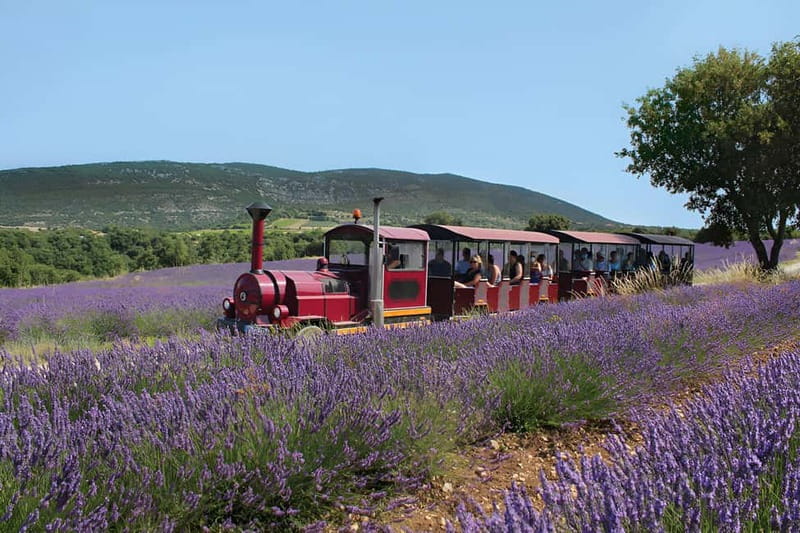 Lavande Guided Tour And Live Distillation - Discover the Beauty and Aroma of Lavender at Maison de la Lavande