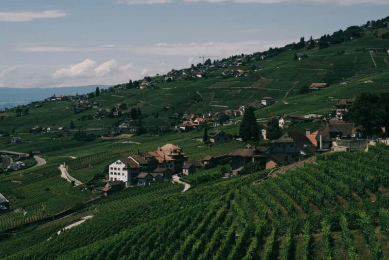 Lavaux Wine and Vineyard Experience with Boat Cruise - Key Points