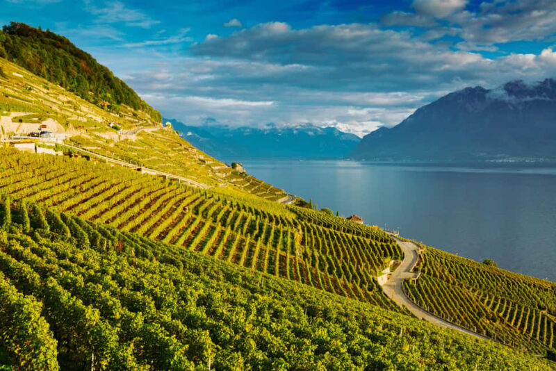 Lavaux Wine and Vineyard Experience with Boat Cruise - Starting Point and Transportation in Geneva