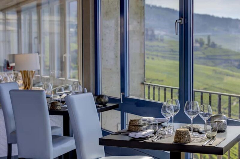 Lavaux Wine and Vineyard Experience with Boat Cruise - Return to Geneva with Comfortable Transport