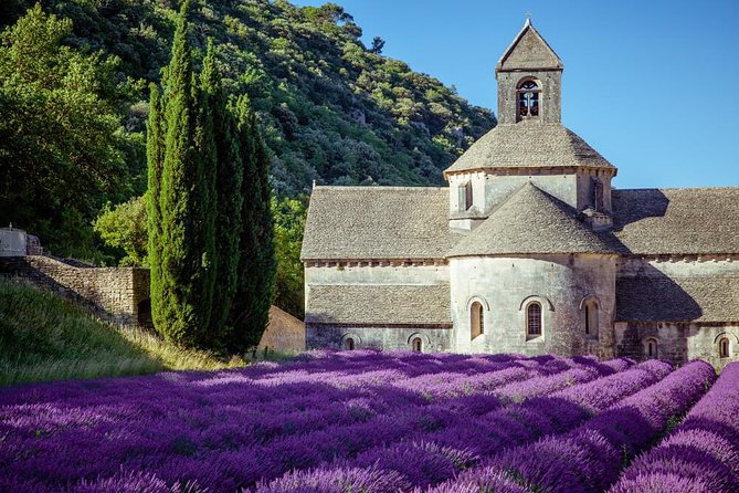 Lavender Beauty Small Group Half Day Tour from Avignon - Discover the Lavender Fields of Provence with a Half-Day Tour from Avignon