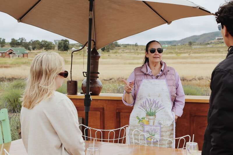 Lavender Experience Valle de Guadalupe - Guided Field Tour - Hands-On Sachet and Bouquet Creation