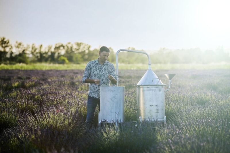 Lavender Field & Distillery Tour between Nimes & Arles - Best Time to Visit and What to Wear
