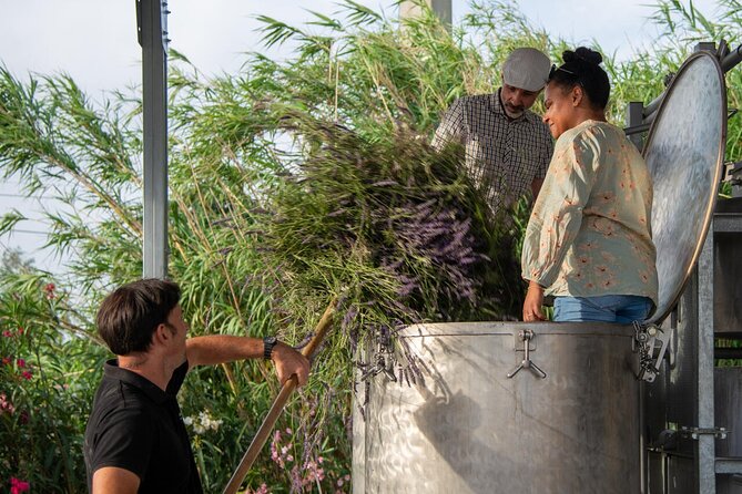 Lavender Harvesting and Distillation Workshop in Bellegarde - Cancellation Policy and Weather Considerations