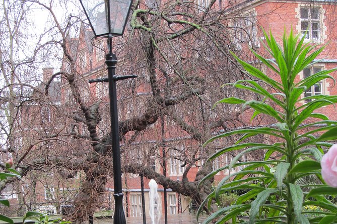 Law in London Private Tour - Reflection on the Tours Value and Unique Features