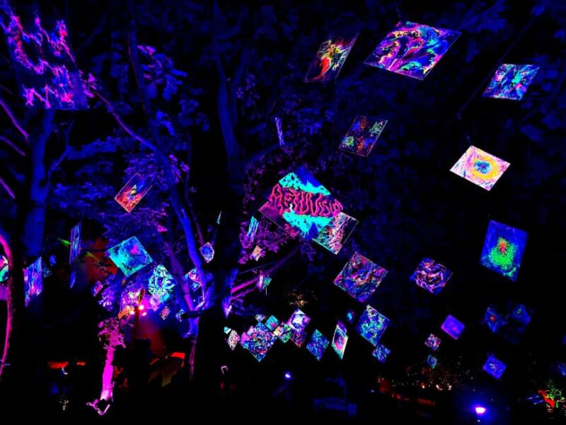 Laxenburg Palace Gardens: ILLUMINA Austria's biggest light garden - ticket - Laxenburg Palace Gardens: Austria’s Largest Light Garden Experience