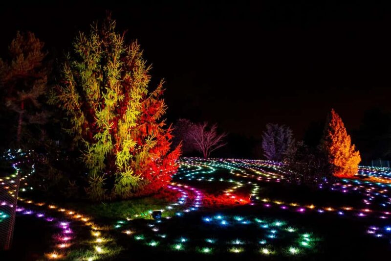 Laxenburg Palace Gardens: ILLUMINA Austria's biggest light garden - ticket - Practical Information for Visitors