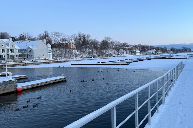 Layers of Natural History: Picton Nature Self-Guided Audio Tour - From Landfill to Nature Reserve at Delhi Park