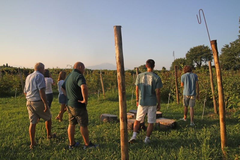 Lazise: Beekeeping Farm Tour and Tasting Experience - Key Points