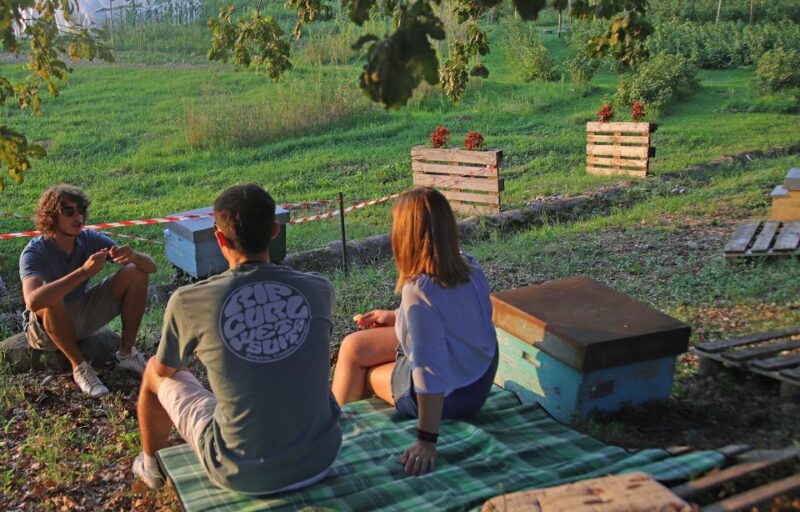 Lazise: Beekeeping Farm Tour and Tasting Experience - Tasting Local Honey, Cheese, and Farm Jams