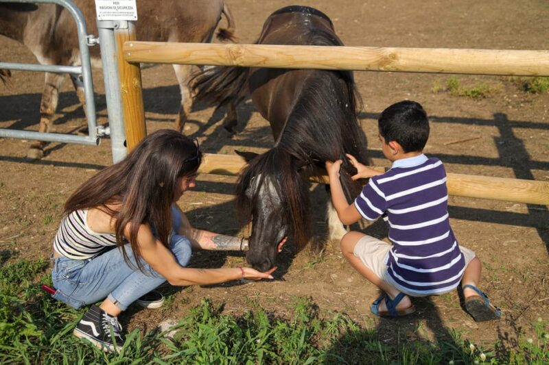 Lazise: Biodynamic Farm Tour and Natural Wine Tasting - Guided Tour of the Farm and Cellar: What You Will See