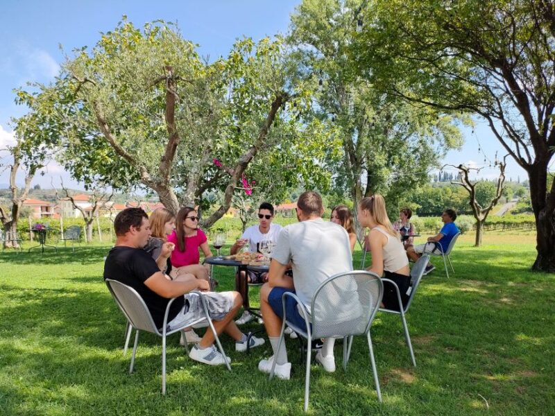 Lazise: Countryside e-Bike Tour with Wine Tasting - Explore the Lazise Countryside on a Guided E-Bike Tour