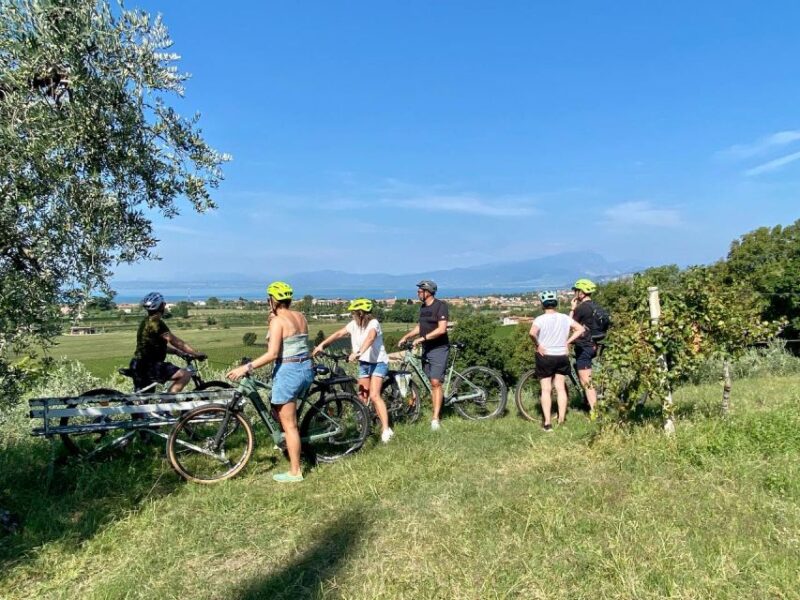 Lazise: Countryside e-Bike Tour with Wine Tasting - The Experience of the Guides and the Group Size