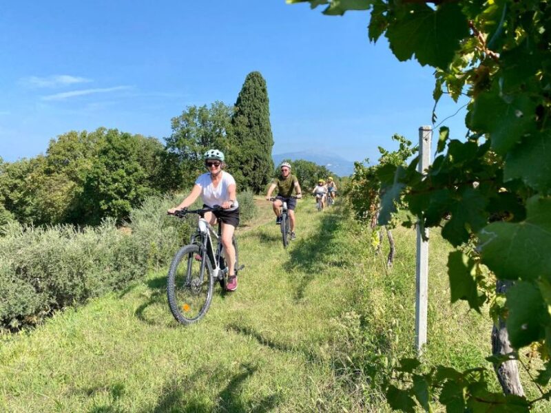Lazise: Countryside e-Bike Tour with Wine Tasting - Why the Lazise E-Bike and Wine Tour Stands Out