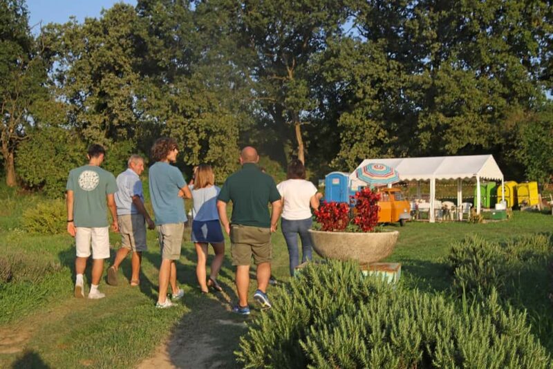 Lazise: horse carriage tour with tasting of local products - Wine Tasting and Pairings on the Farm