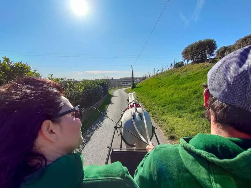 Lazise: horse carriage tour with tasting of local products - Accessibility and Restrictions