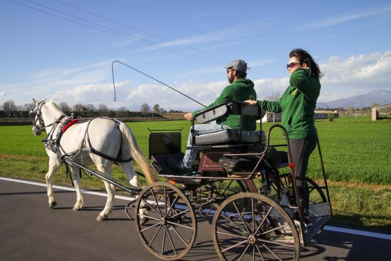 Lazise: horse carriage tour with tasting of local products - Meeting and Cancellation Policies