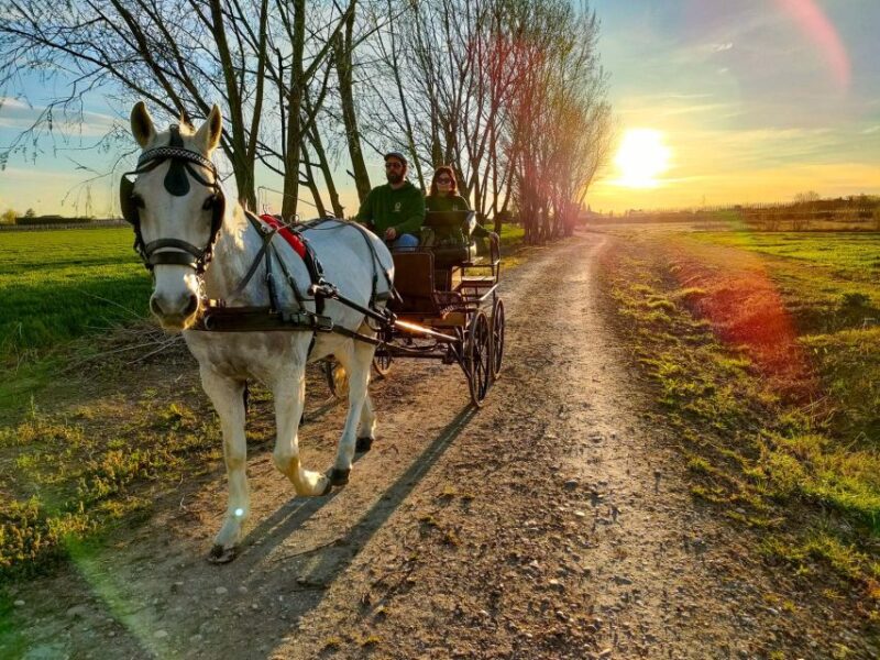 Lazise: horse carriage tour with tasting of local products - The Experience’s Unique Appeal