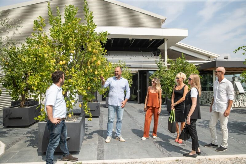 Lazise: Vineyard Tour and Organic Wine Tasting - Key Points